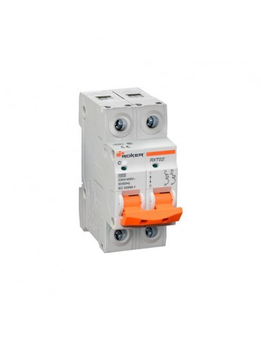 Roker Rxt0210 Termomagnetica Din 2 X...